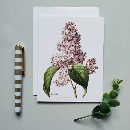 Lilac note card for gifts from Carrie Whelan Designs