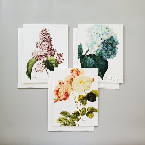 Botanical note card set from Carrie Whelan Designs