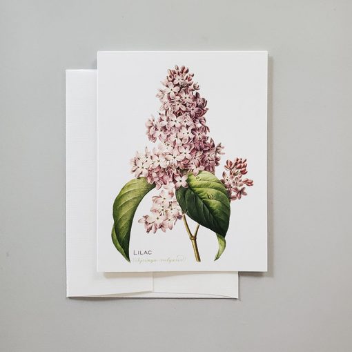 Lilac botanical note card from Carrie Whelan Designs