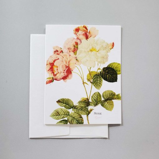 Botanical rose note card from Carrie Whelan Designs