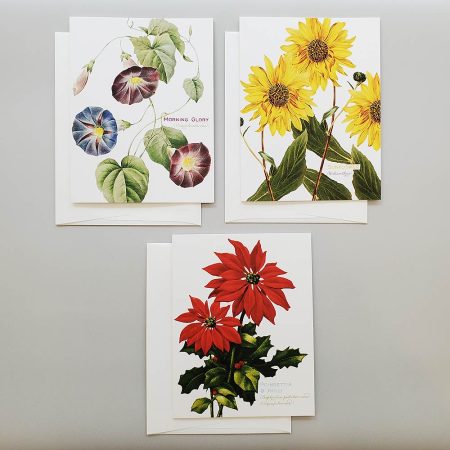 Note card set for fall & winter from Carrie Whelan Designs